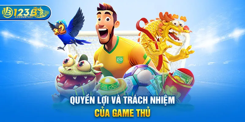 Quyền lợi và trách nhiệm của game thủ